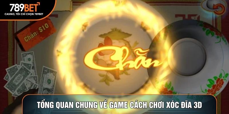 Tổng quan chung về game cách chơi xóc đĩa 3D