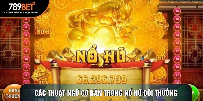 Các thuật ngữ cơ bản trong nổ hũ đổi thưởng