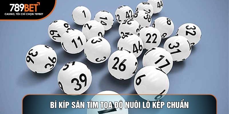 Bí kíp săn tìm tọa độ nuôi lô kép chuẩn