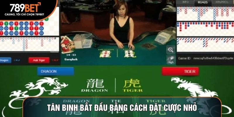 Tân binh bắt đầu bằng cách đặt cược nhỏ