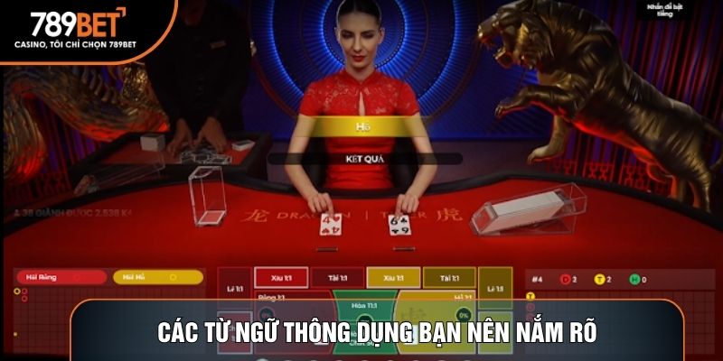 Các từ ngữ thông dụng bạn nên nắm rõ